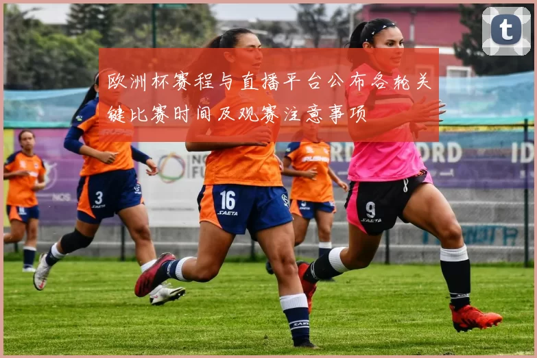 欧洲杯赛程与直播平台公布各轮关键比赛时间及观赛注意事项