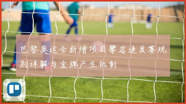 巴黎奥运会新增项目攀岩速度赛规则详解与金牌产生机制