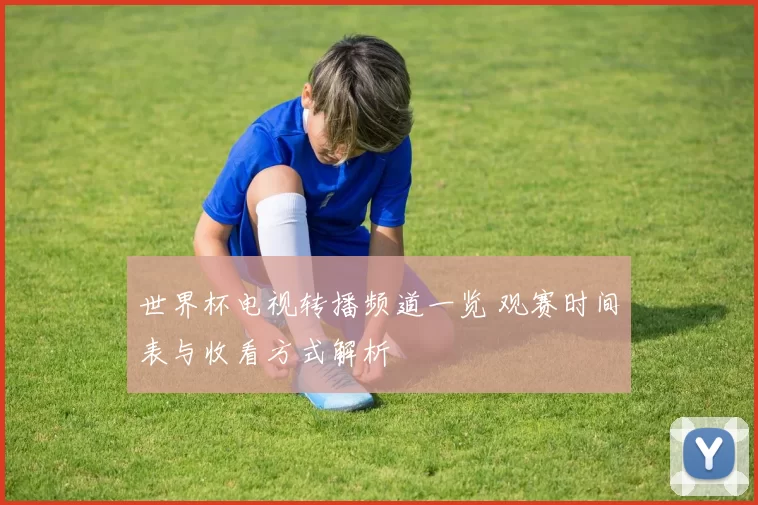 世界杯电视转播频道一览 观赛时间表与收看方式解析